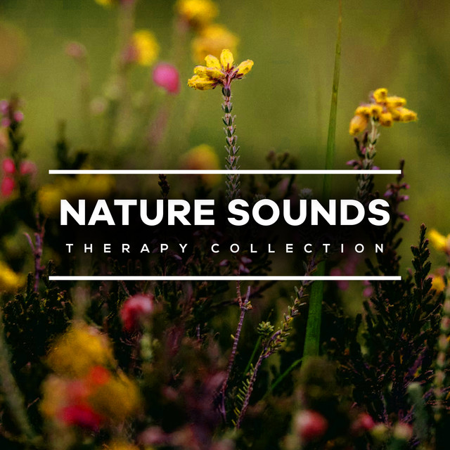 Nature Sounds Therapy Collection - Album by Nature Therapy | Spotify