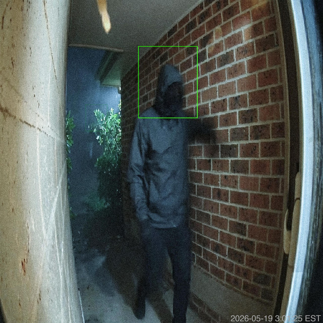 PACKAGE THEFT cover