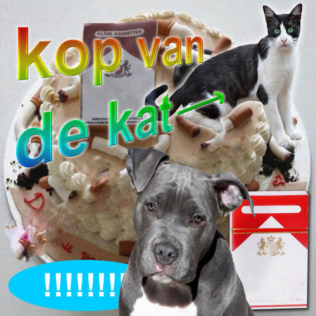 Kop Van De Kat cover art