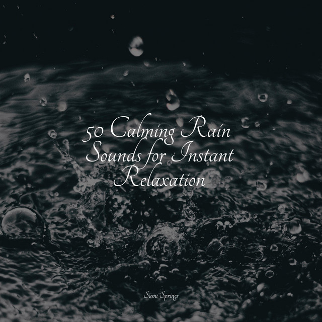 50 Calming Rain Sounds for Instant Relaxation - Album by Academia de ...