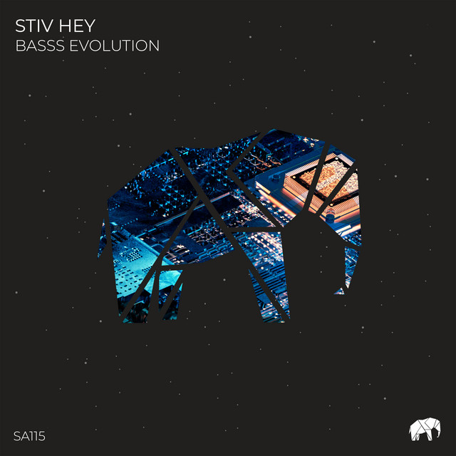 Basss album art