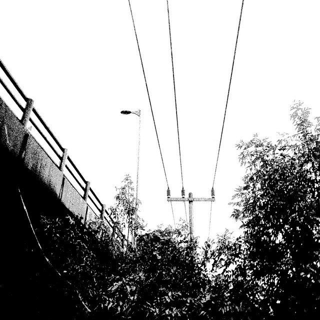 [||||||||||||||||] cover art