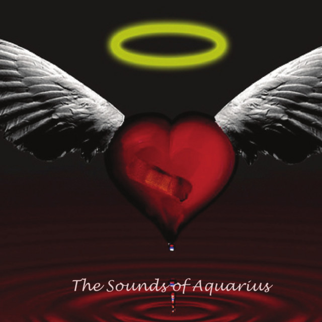 The Sounds Of Aquarius cover art