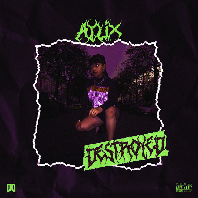 Destroyed cover art