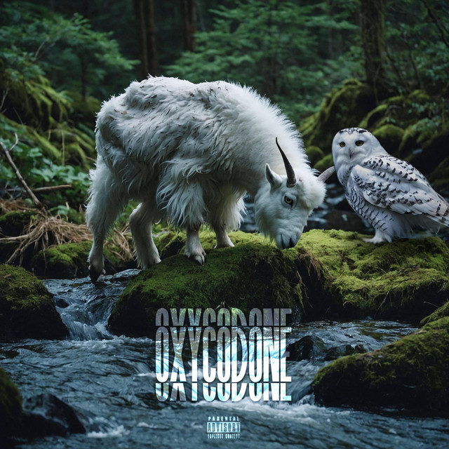 Oxycodone cover art