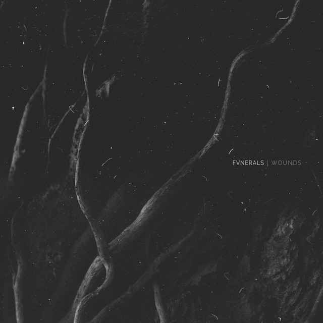 Wounds cover art