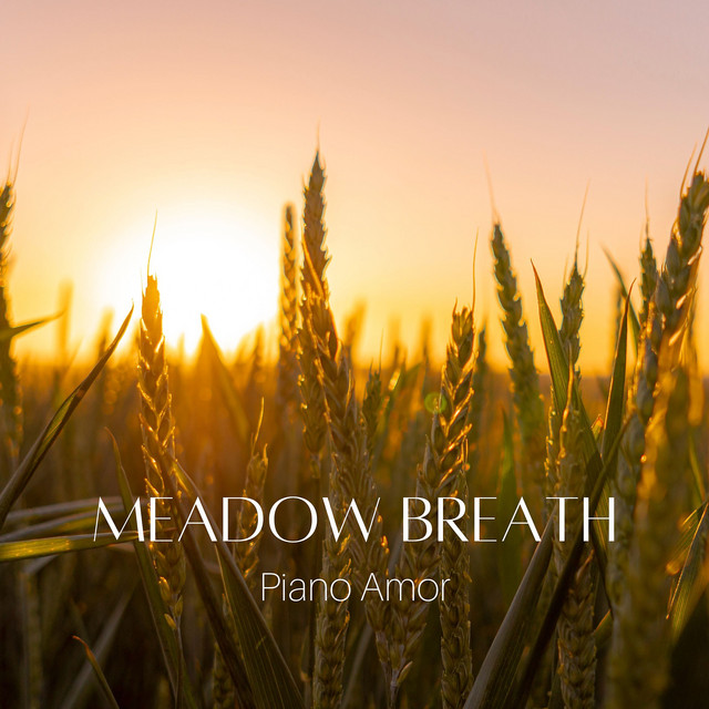 Обкладинка: Meadow Breath — Piano Amor
