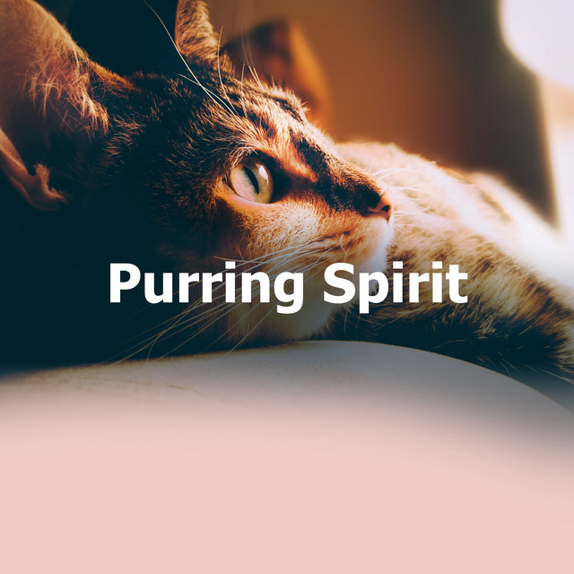 Purring Spirit cover art