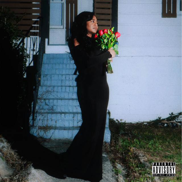 Intro cover art