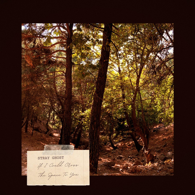 If I Could Cross the Space to You cover art