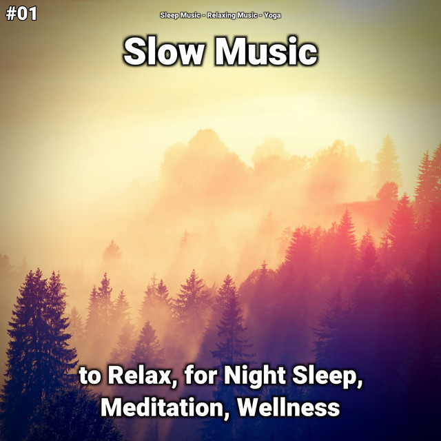 #01 Slow Music to Relax, for Night Sleep, Meditation, Wellness cover art