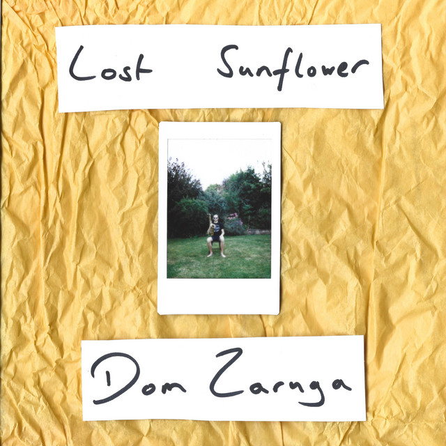 Lost Sunflower
