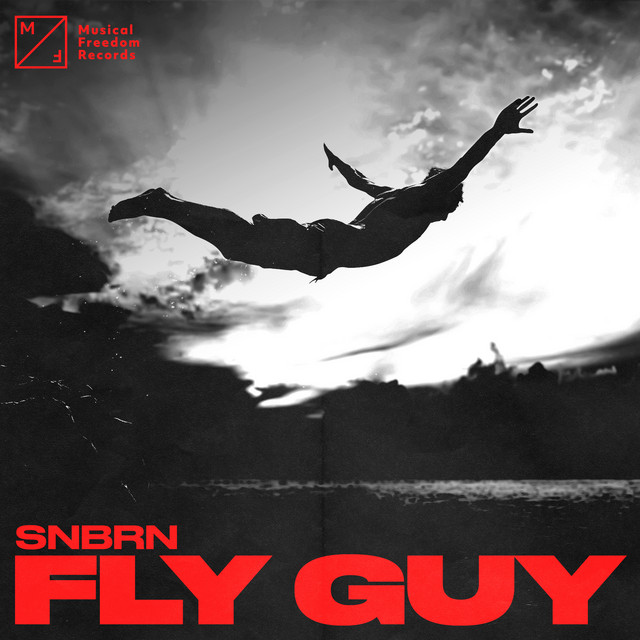 Cover du titre Fly Guy