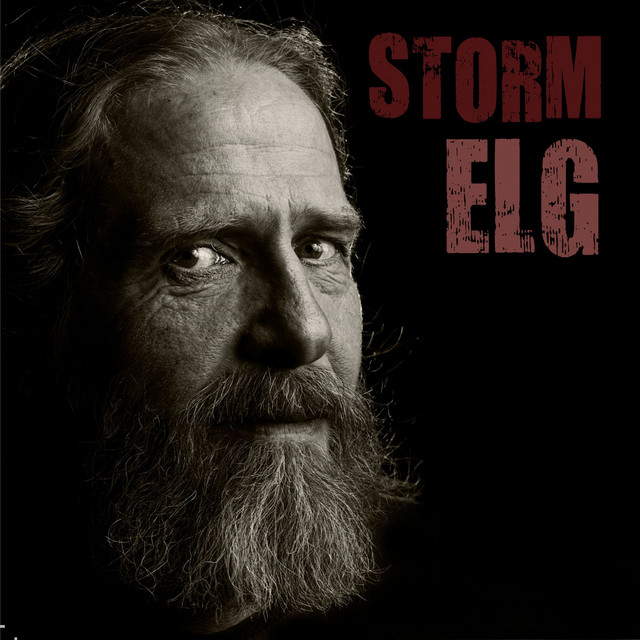 Storm cover art