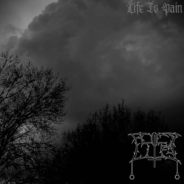 Life Is Pain cover art