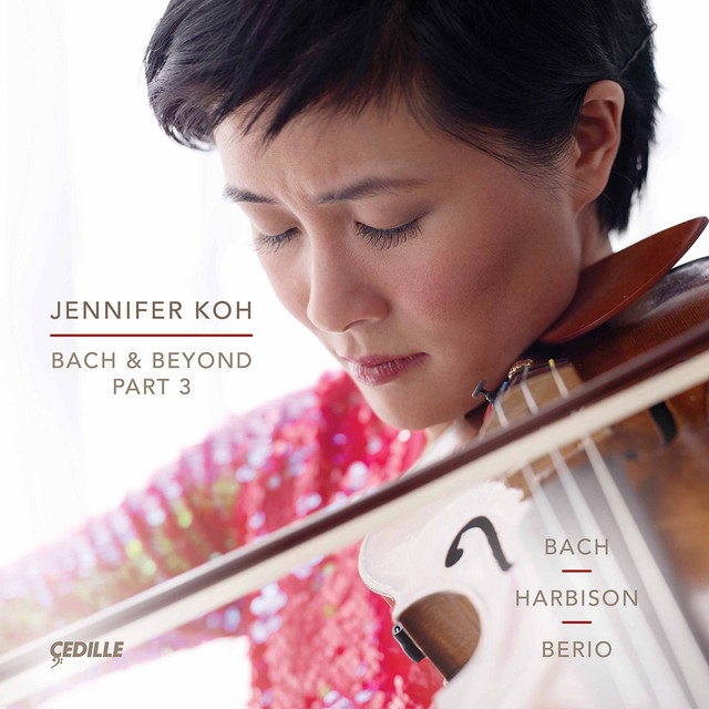 Violin Sonata No. 2 in A Minor, BWV 1003: IV. Allegro