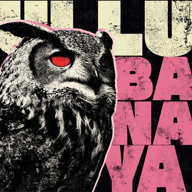 Ullu Banaya album image