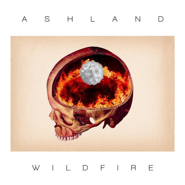 Wildfire cover art