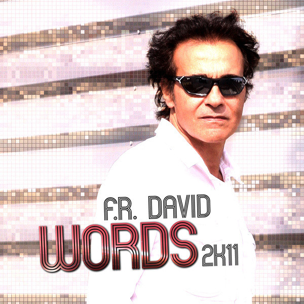 Words 2K11 (MS Project Radio Edit) - song and lyrics by F.R. David
