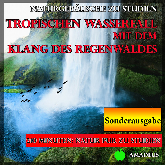 Naturgeräusche zu Studien: Tropischen Wasserfall mit dem Klang des Regenwaldes: Sonderausgabe cover art