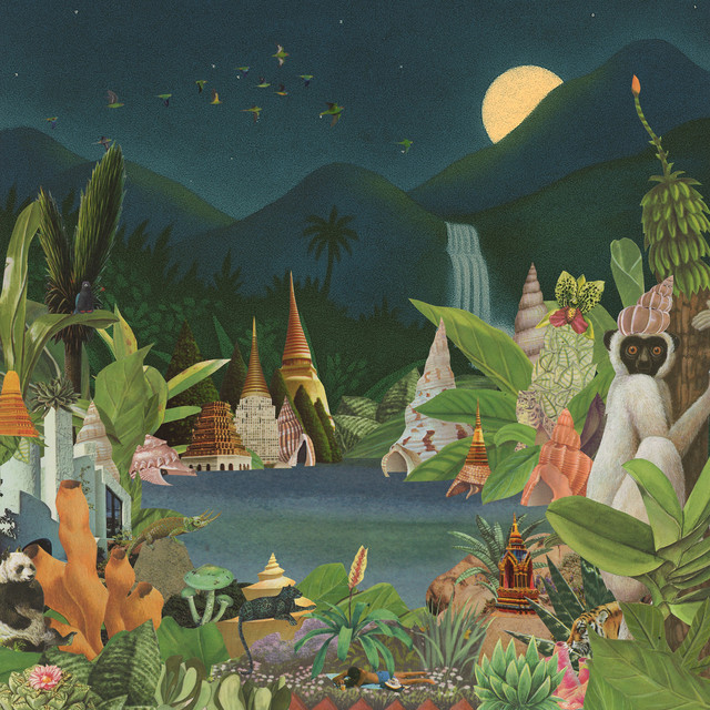 undefined album image