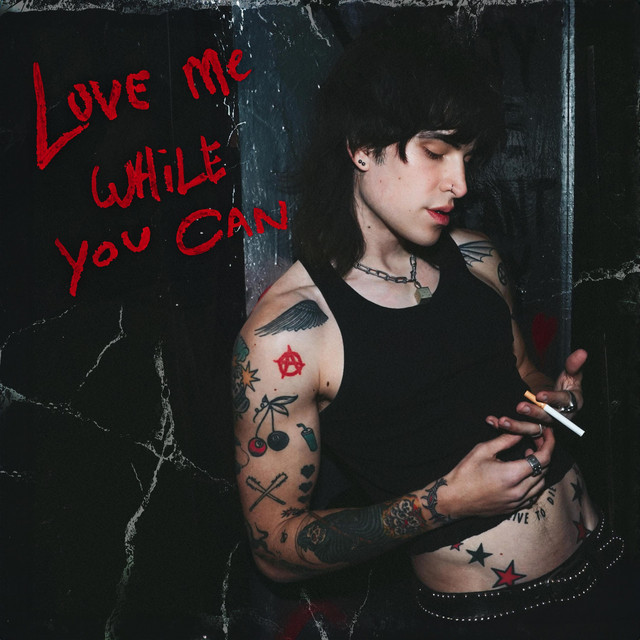 The Last Year cover art