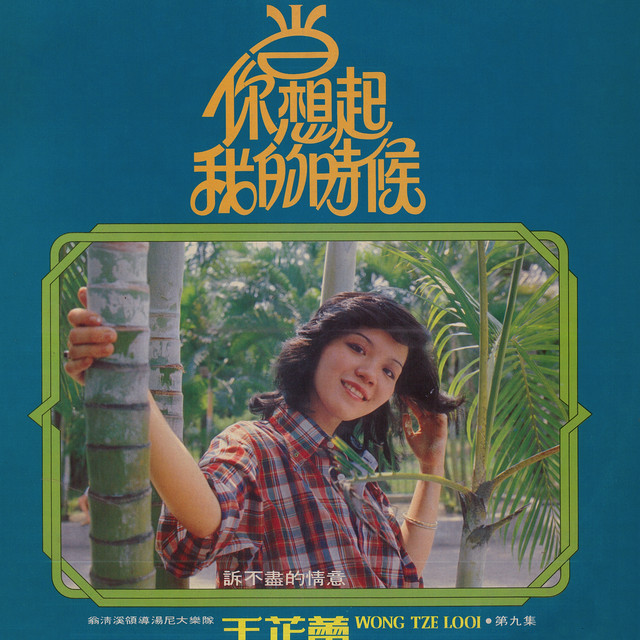 王芷蕾, Vol. 9: 当你想起我的时候 (修复版) album image