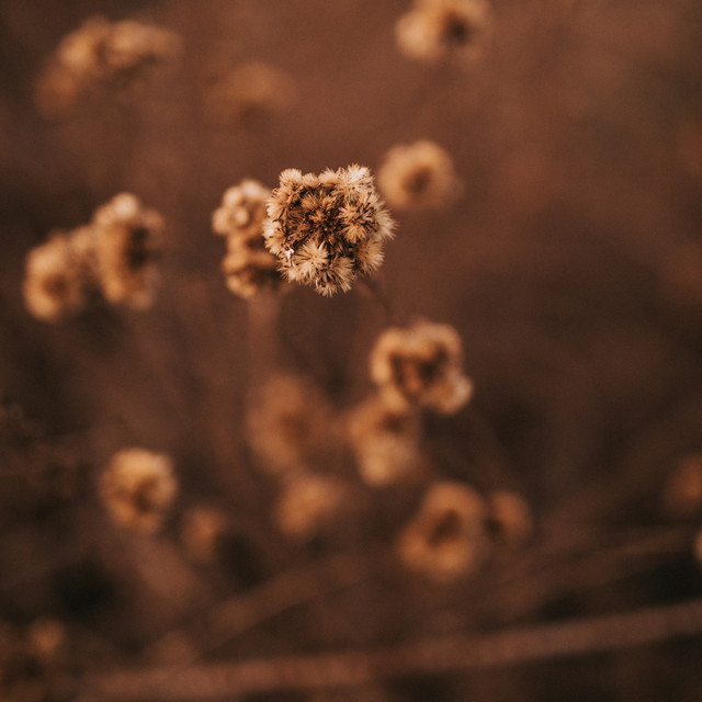 Brown Noise for Relaxation