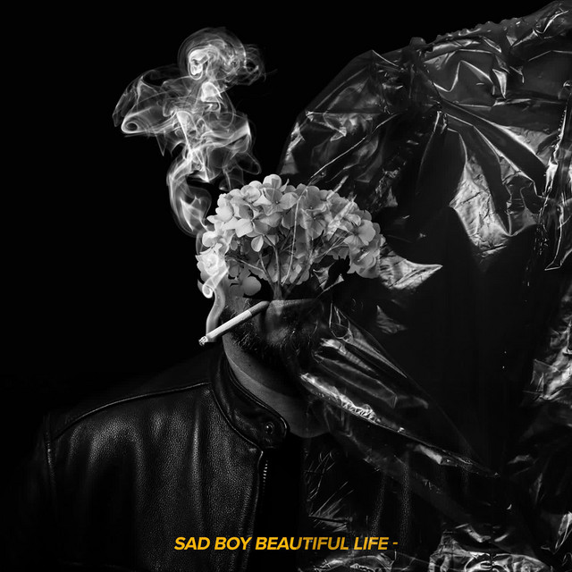 Sad Boy, Beautiful Life cover art