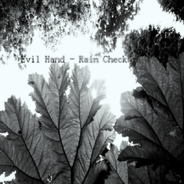 Rain Check cover