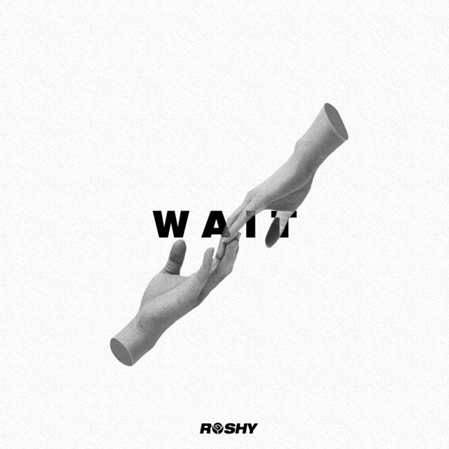 Wait cover art