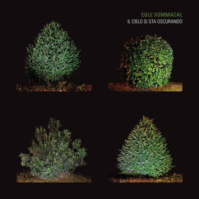 Egle Sommacal