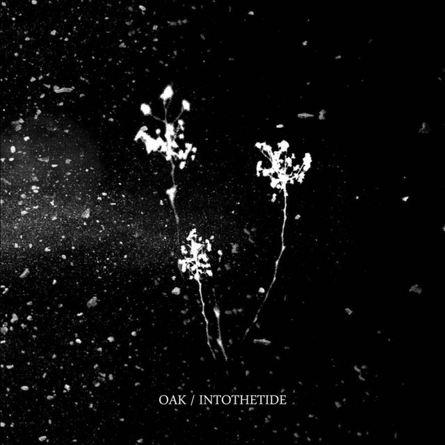 Split with Intothetide (single)