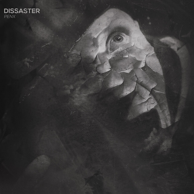 Dissaster cover art