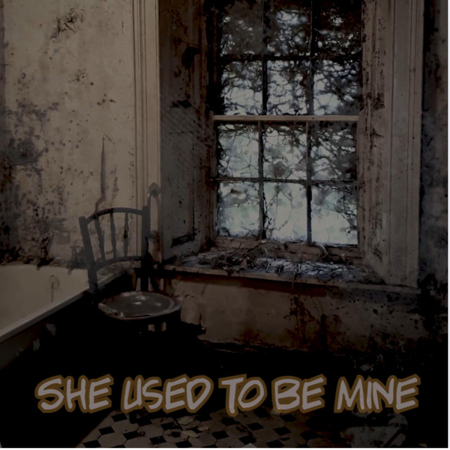 She Used to Be Mine cover