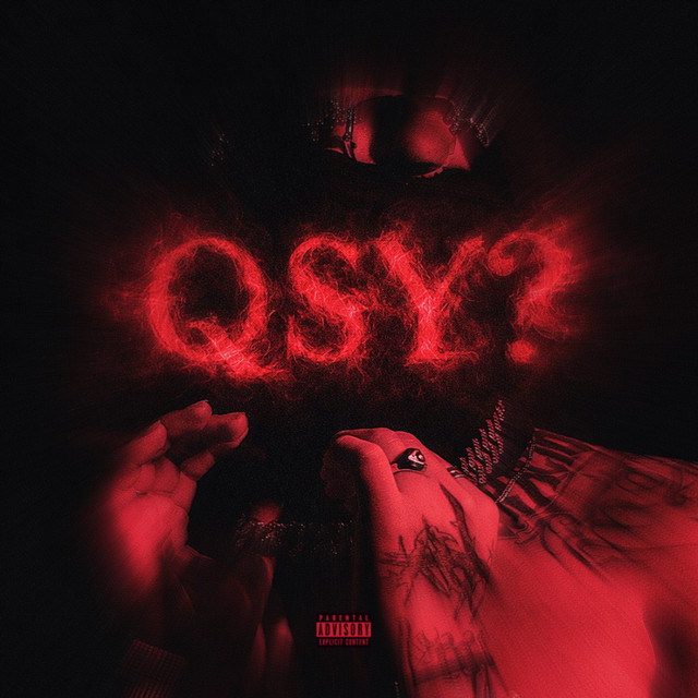 QSY? cover art