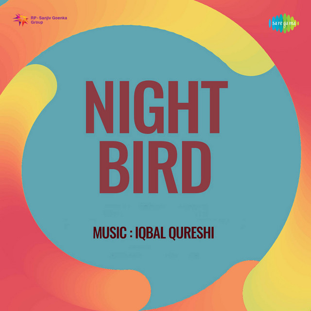Night Bird cover art