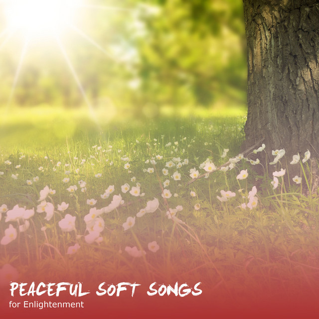 #20 Peaceful Soft Songs for Enlightenment - Album by Spa | Spotify
