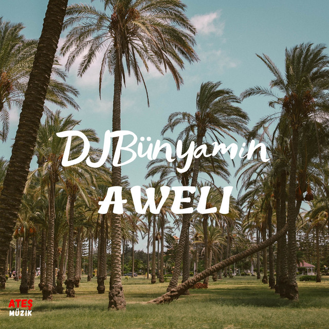 AWELI cover art