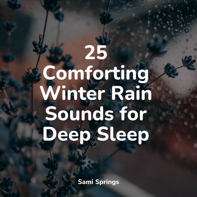 25 Comforting Winter Rain Sounds for Deep Sleep - Album by meditacou ...