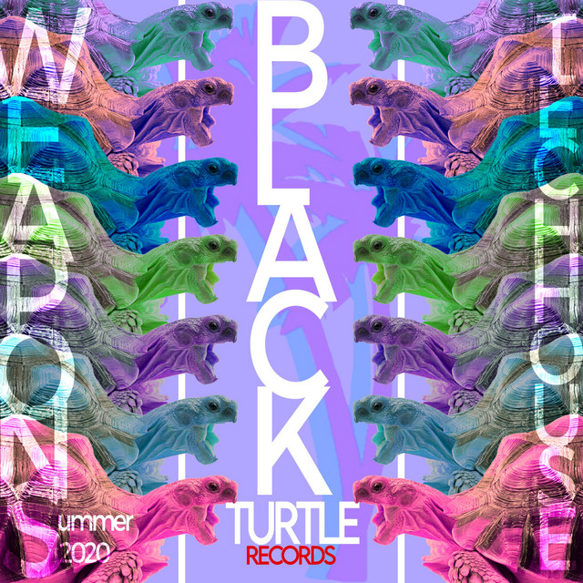 Black Turtle Weapons Tech House Summer 2020 cover art