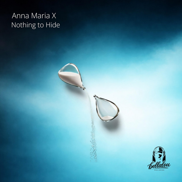 Nothing To Hide cover
