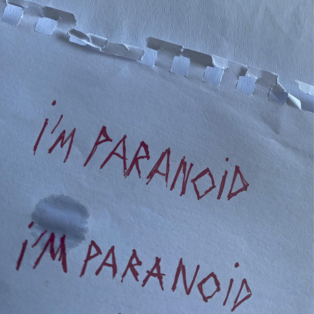 i'm paranoid cover art