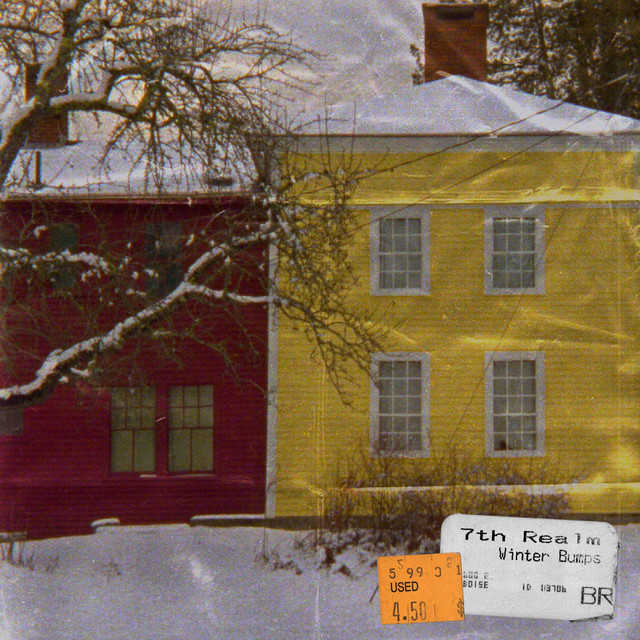 Dusty winter bumps cover art