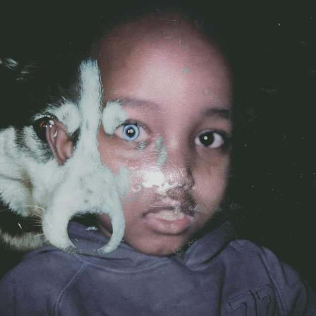 Jungle Baby cover art