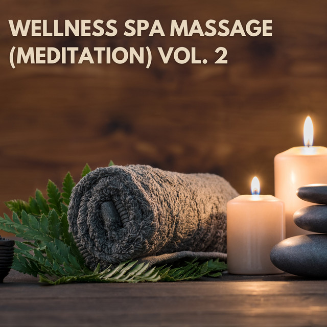 Wellness Spa Massage (Meditation), Vol. 2 cover art