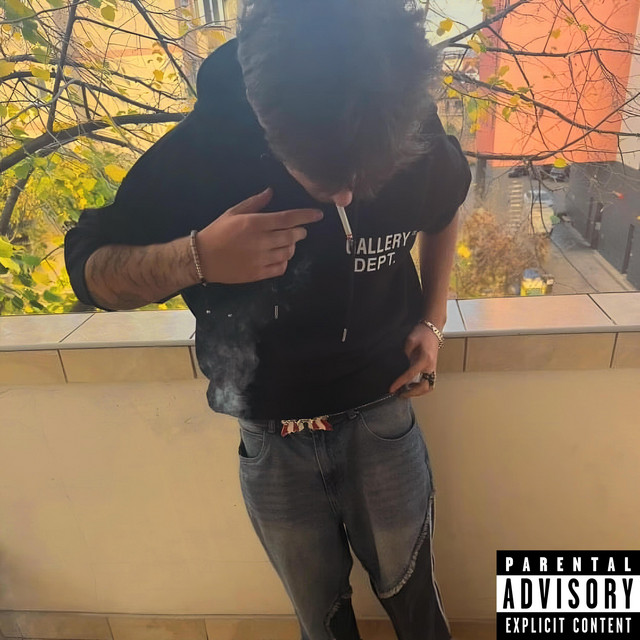 1xdem cover art
