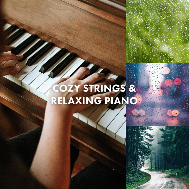 Cozy Strings & Relaxing Piano - Album by Peppertune | Spotify