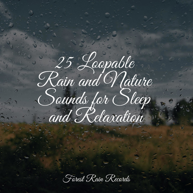 25 Loopable Rain and Nature Sounds for Sleep and Relaxation - Album by ...