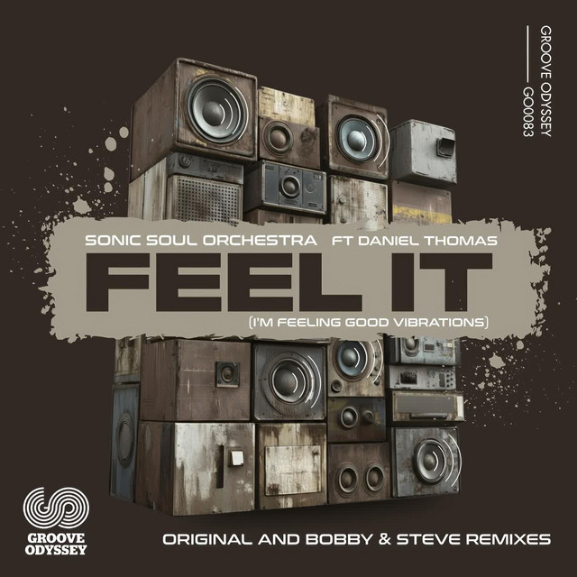 Feel It - Single by Sonic Soul Orchestra | Spotify